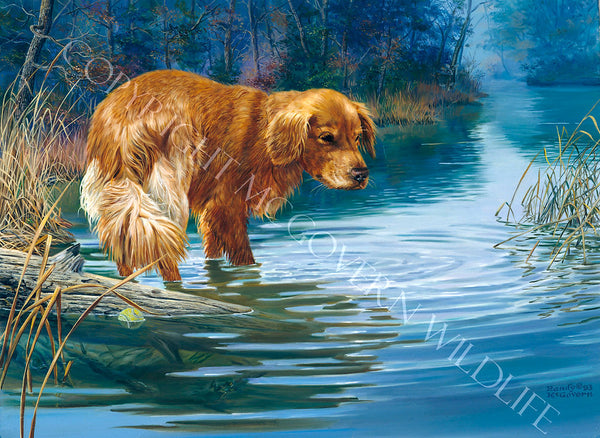 "Where's that Ball?" - Limited Edition Print - Randy McGovern