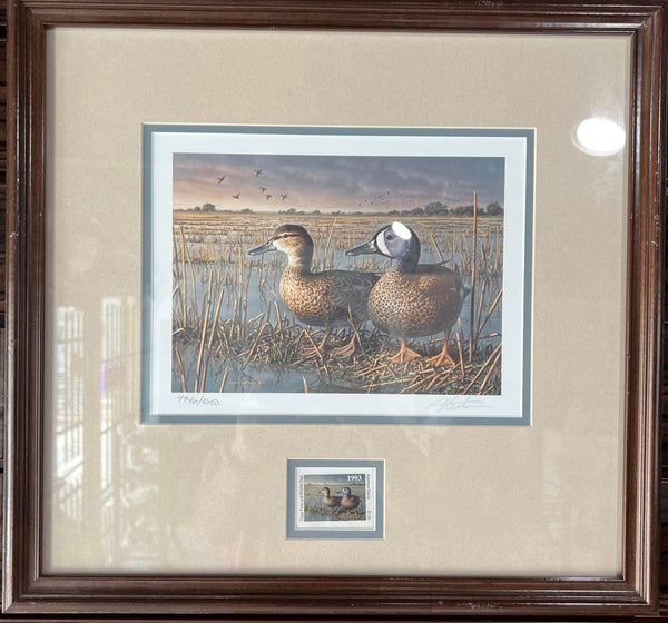 Blue Winged Teal - Jim Hautman -  1993 Framed TPWD Waterfowl Stamp Print