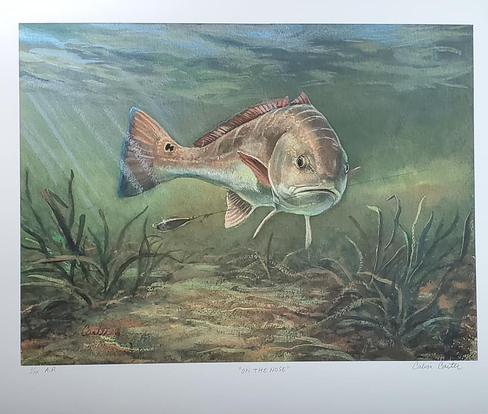 "On the Nose" - Limited Edition Print - Calvin Carter