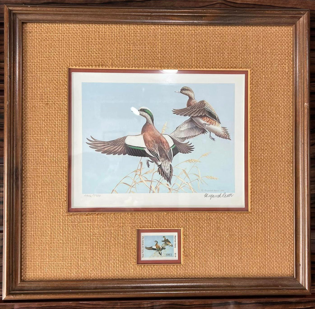 Widgeons - Maynard Reece -  1983 Framed TPWD Waterfowl Stamp Print